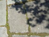 image of grave number 956707